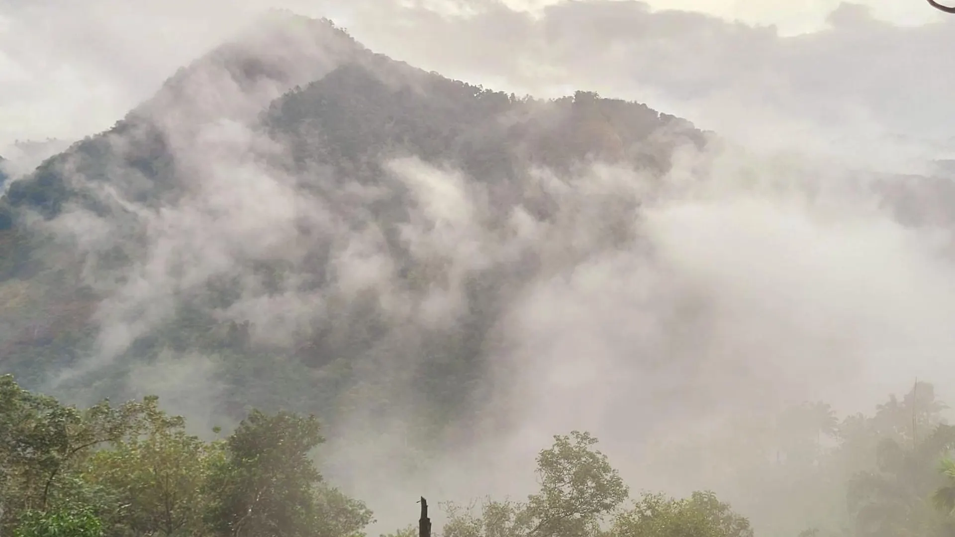Newcastle Holidays Resorts-Entire Property 5 Bedrooms-Great Mountain & River View-Between Munnar & Idukki With Kitchen