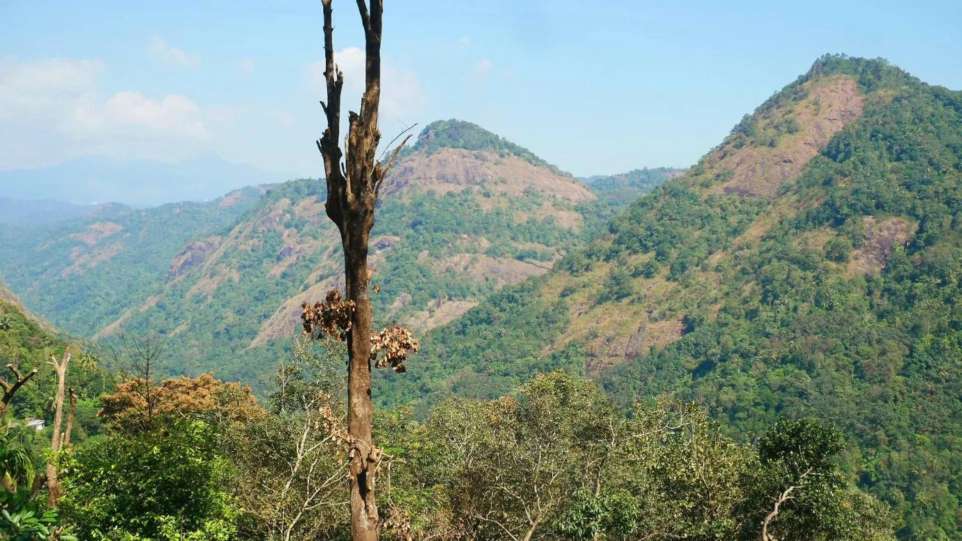 Newcastle Holidays Resorts-Entire Property 5 Bedrooms-Great Mountain & River View-Between Munnar & Idukki With Kitchen