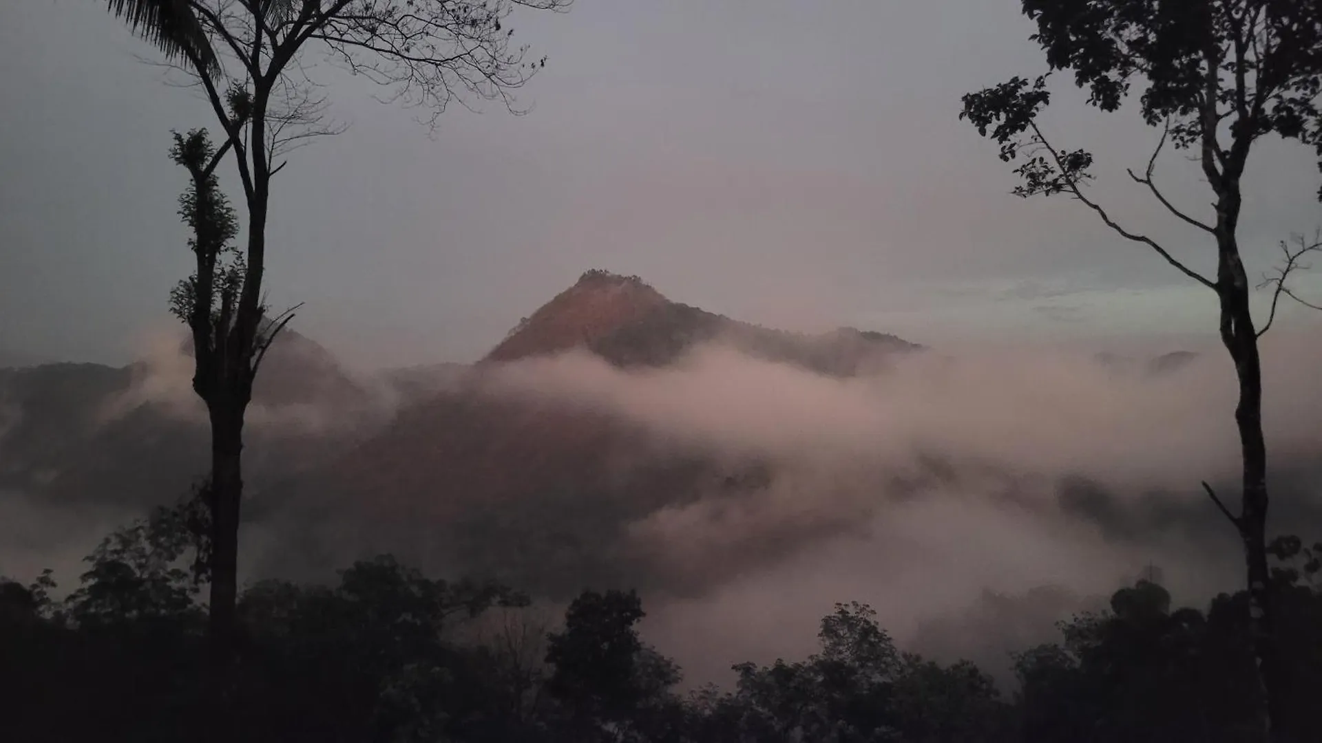 Newcastle Holidays Resorts-Entire Property 5 Bedrooms-Great Mountain & River View-Between Munnar & Idukki With Kitchen Holiday home