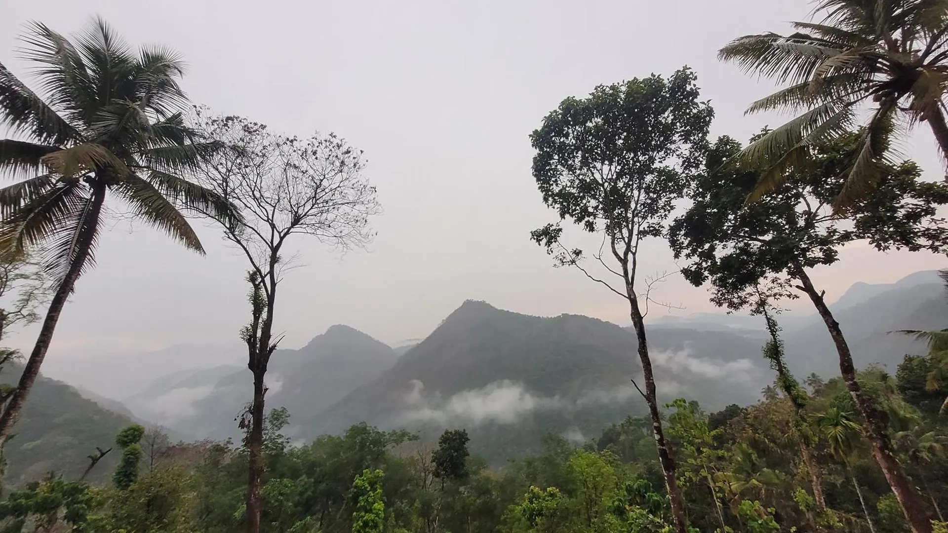 Holiday home Newcastle Holidays Resorts-Entire Property 5 Bedrooms-Great Mountain & River View-Between Munnar & Idukki With Kitchen India
