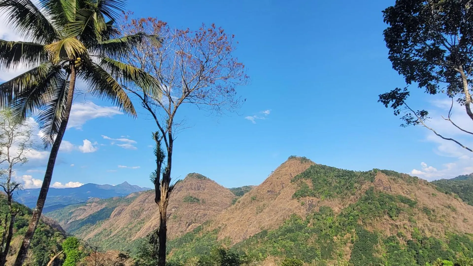Newcastle Holidays Resorts-Entire Property 5 Bedrooms-Great Mountain & River View-Between Munnar & Idukki With Kitchen