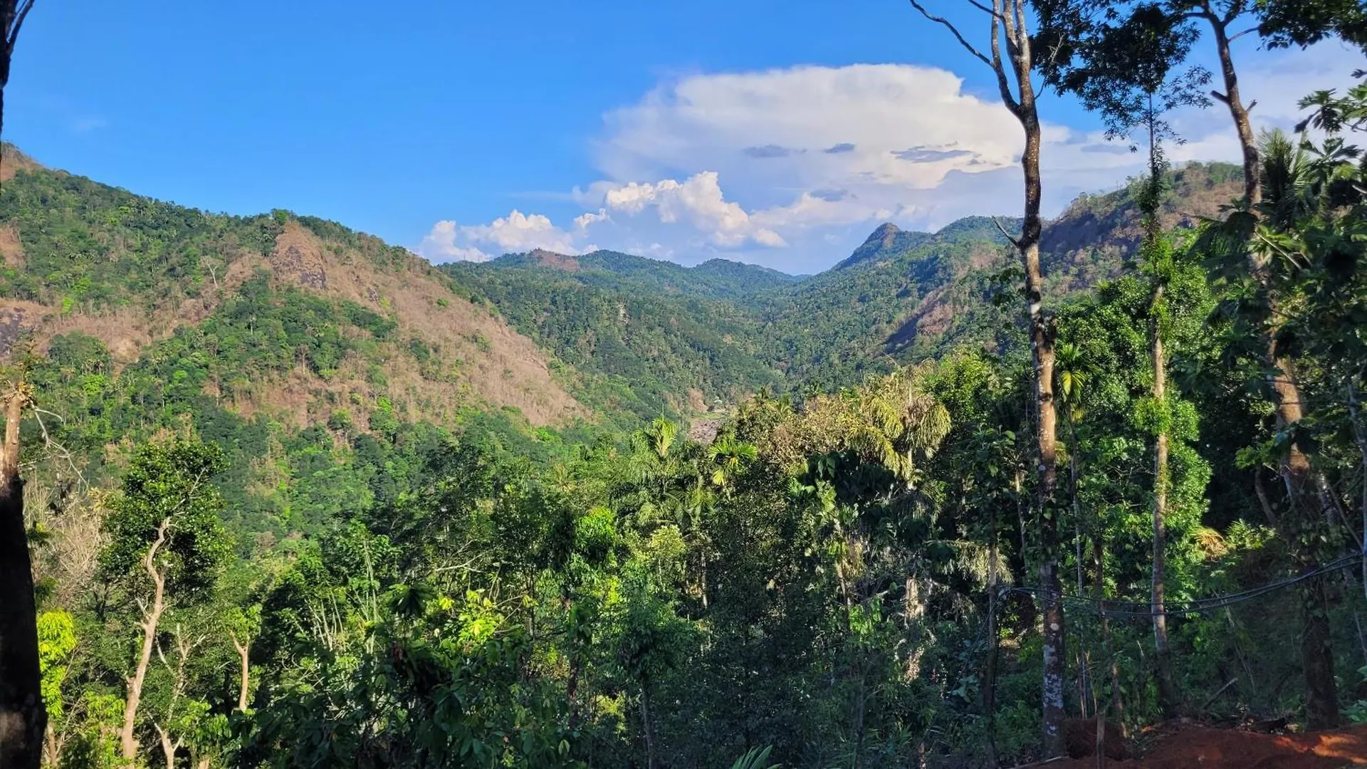 Newcastle Holidays Resorts-Entire Property 5 Bedrooms-Great Mountain & River View-Between Munnar & Idukki With Kitchen Holiday home