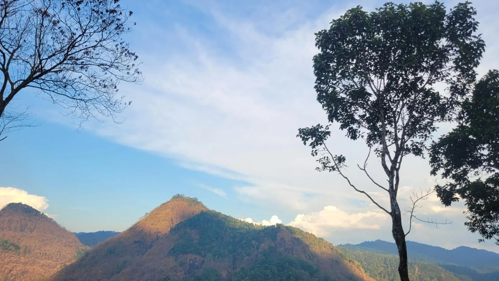 Newcastle Holidays Resorts-Entire Property 5 Bedrooms-Great Mountain & River View-Between Munnar & Idukki With Kitchen Ferienhaus