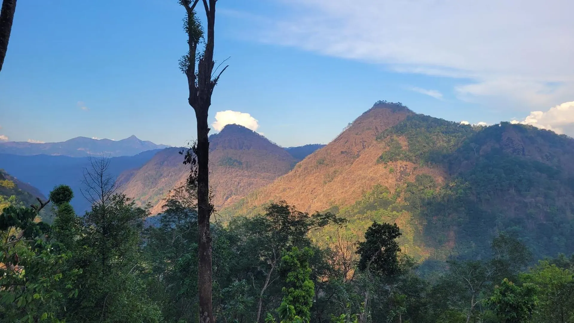 Newcastle Holidays Resorts-Entire Property 5 Bedrooms-Great Mountain & River View-Between Munnar & Idukki With Kitchen India