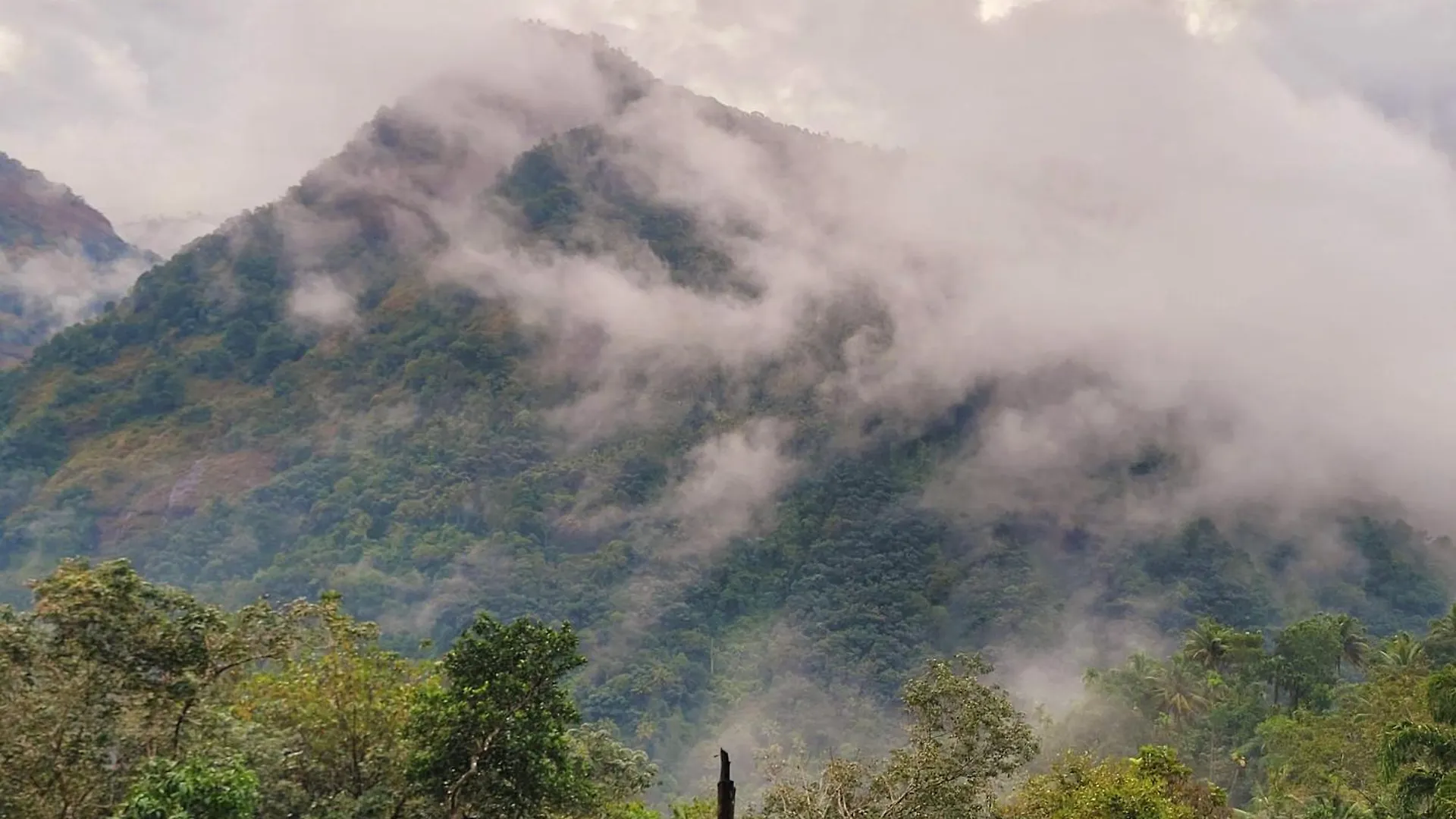 Newcastle Holidays Resorts-Entire Property 5 Bedrooms-Great Mountain & River View-Between Munnar & Idukki With Kitchen Nyaraló