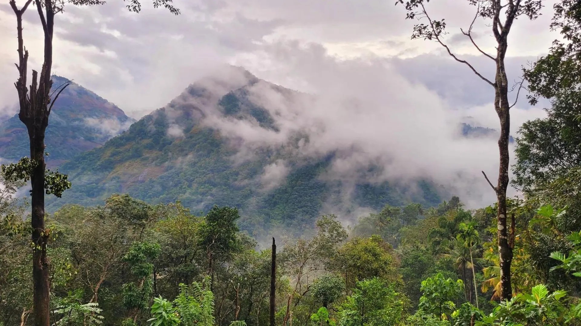 Nyaraló Newcastle Holidays Resorts-Entire Property 5 Bedrooms-Great Mountain & River View-Between Munnar & Idukki With Kitchen