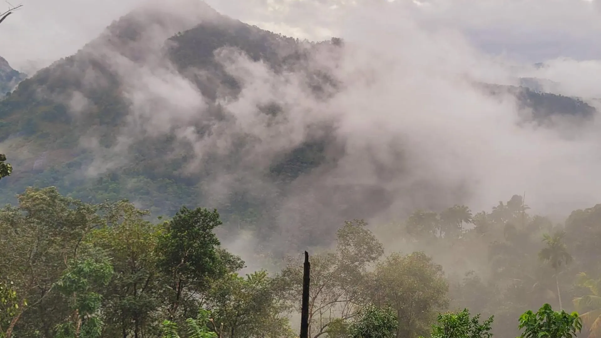Newcastle Holidays Resorts-Entire Property 5 Bedrooms-Great Mountain & River View-Between Munnar & Idukki With Kitchen