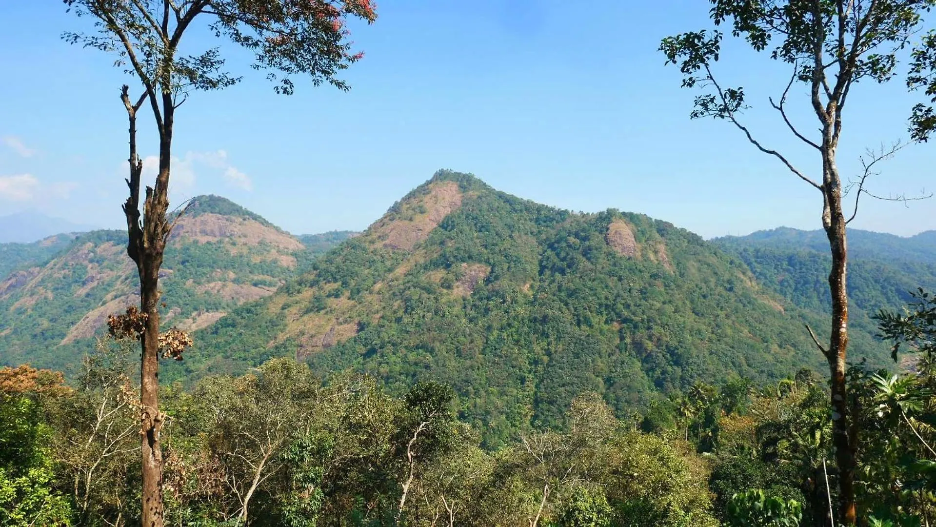 Nyaraló Newcastle Holidays Resorts-Entire Property 5 Bedrooms-Great Mountain & River View-Between Munnar & Idukki With Kitchen