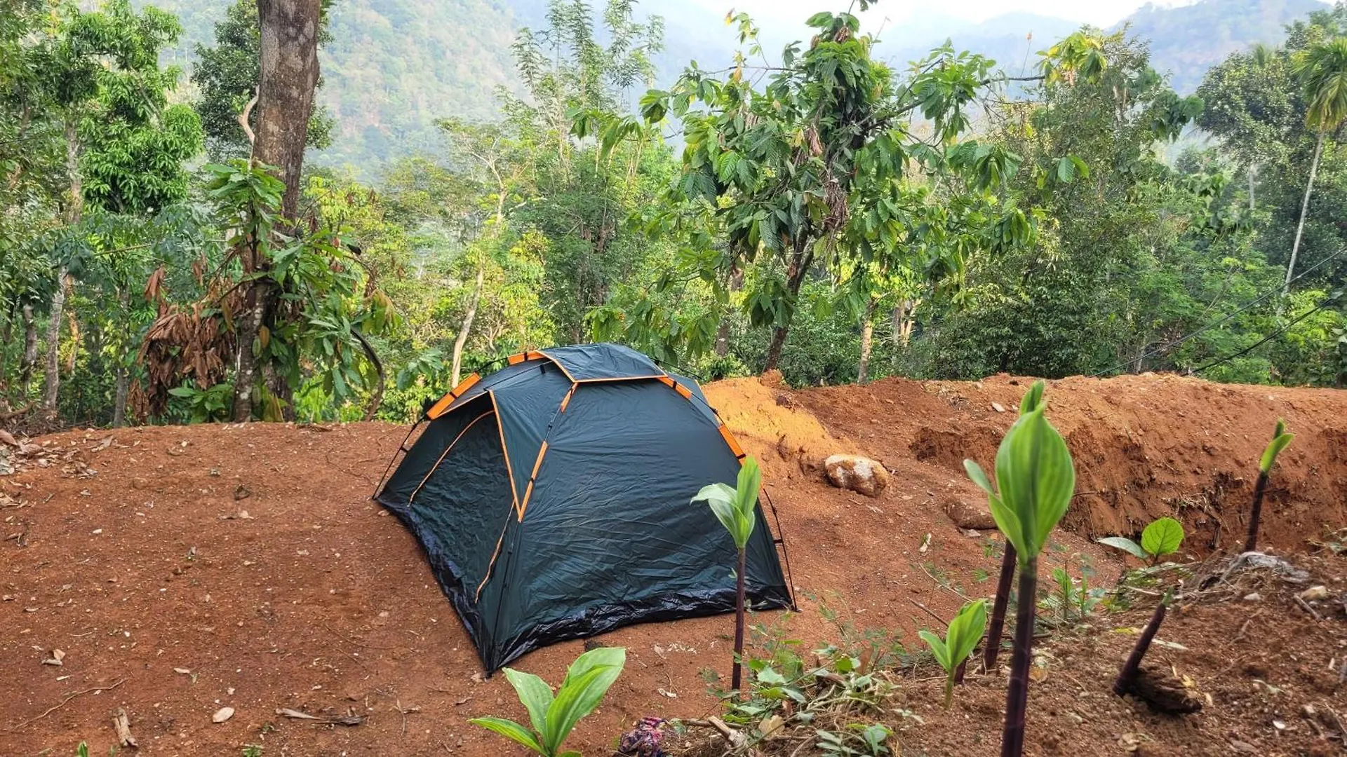 Newcastle Holidays Resorts-Entire Property 5 Bedrooms-Great Mountain & River View-Between Munnar & Idukki With Kitchen India