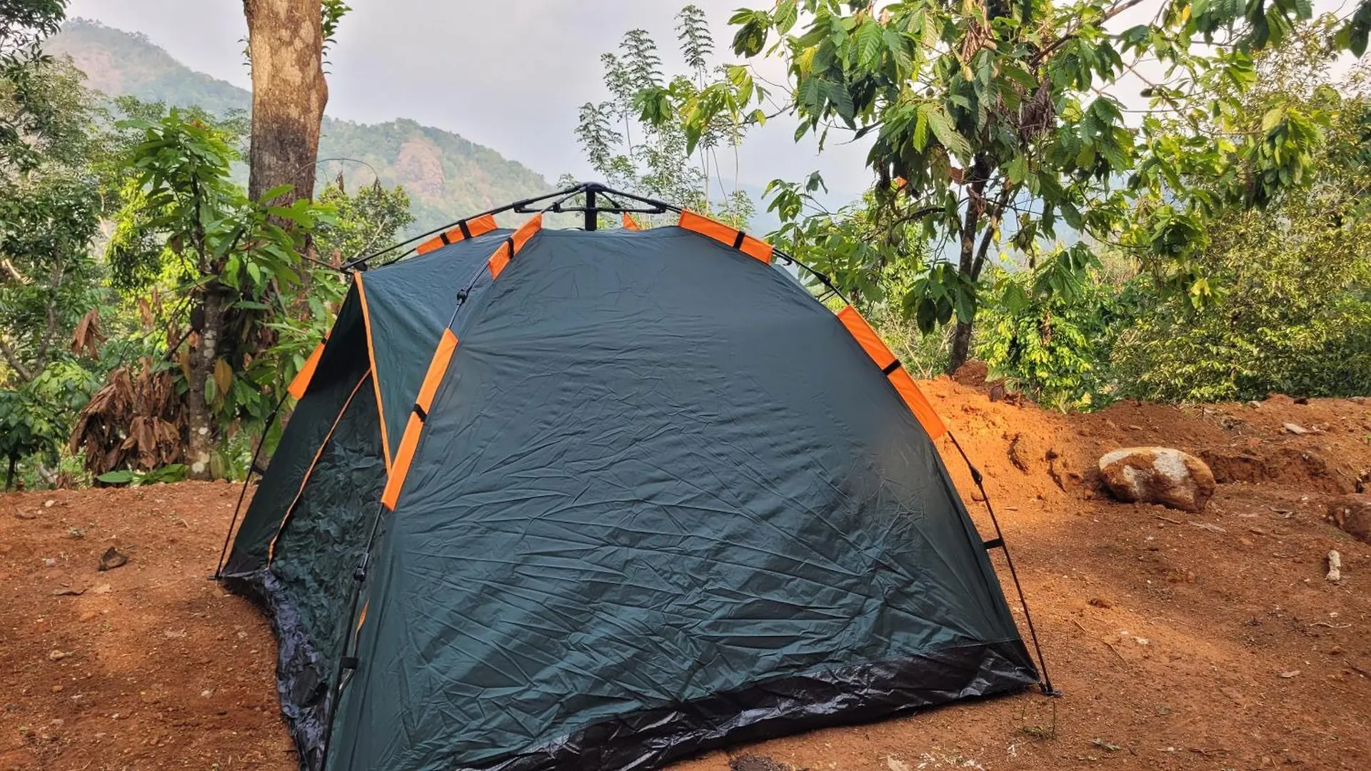 Newcastle Holidays Resorts-Entire Property 5 Bedrooms-Great Mountain & River View-Between Munnar & Idukki With Kitchen 0*,  India